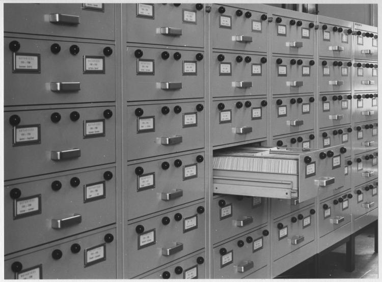 Milieuprojecten Gebaseerd op Open Data: Voorbeelden uit Rotterdam